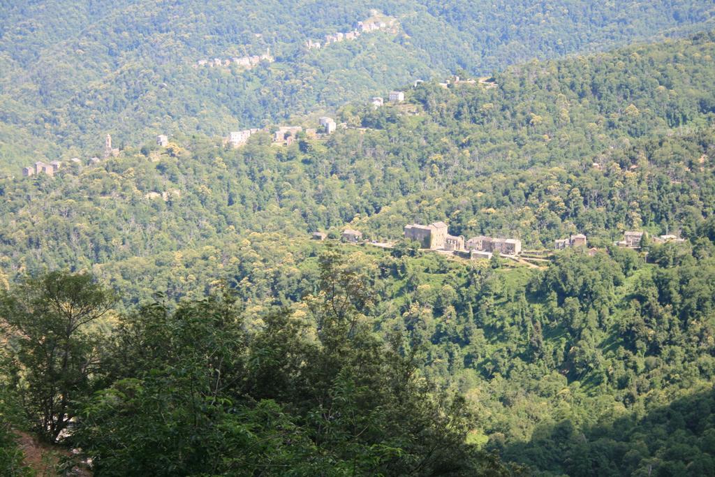 Le Refuge Orezza Piedicroce  Esterno foto