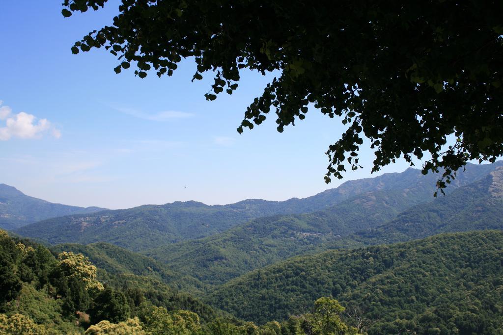 Le Refuge Orezza Piedicroce  Esterno foto