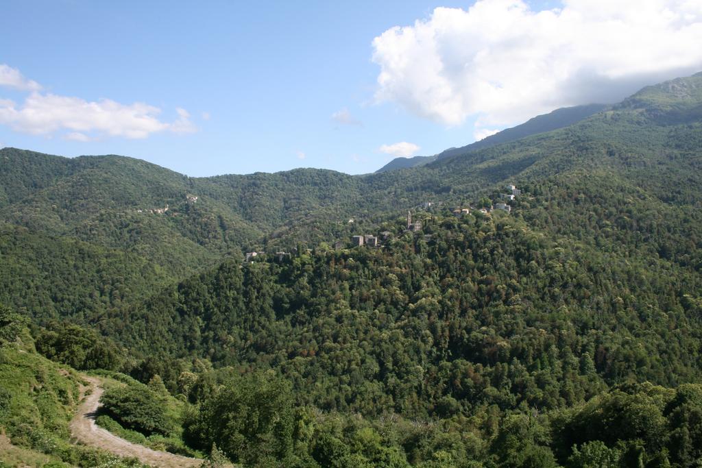 Le Refuge Orezza Piedicroce  Camera foto